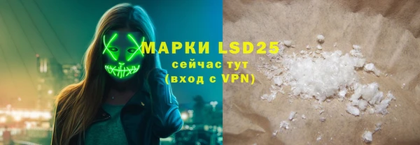 индика Алексин