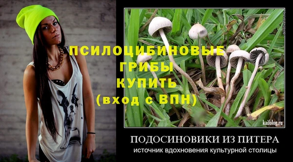 a pvp Алексеевка