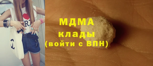 индика Алексин