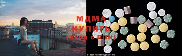 индика Алексин
